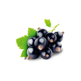 Grether's Pastilles Blackcurrant Pastilles (3.75 oz.)